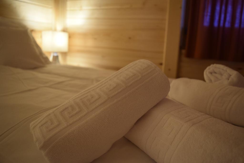Chalet Pokljuka ゴレンスカ地方 エクステリア 写真